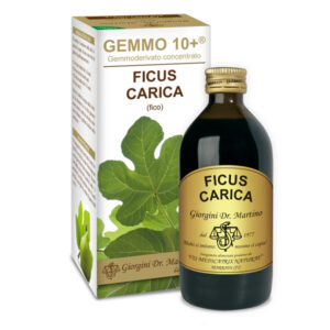 Gemmo 10+ Fico (Ficus carica) gemmoderivato analcolico 200ml - Dr.Giorgini